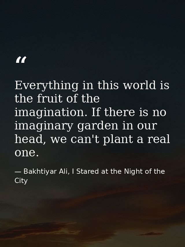 Everything in this world is the fruit of the imagination. If there is no imaginary garden in our head, we can't plant a  — Bakhtiyar Ali, I Stared at the Night of the City