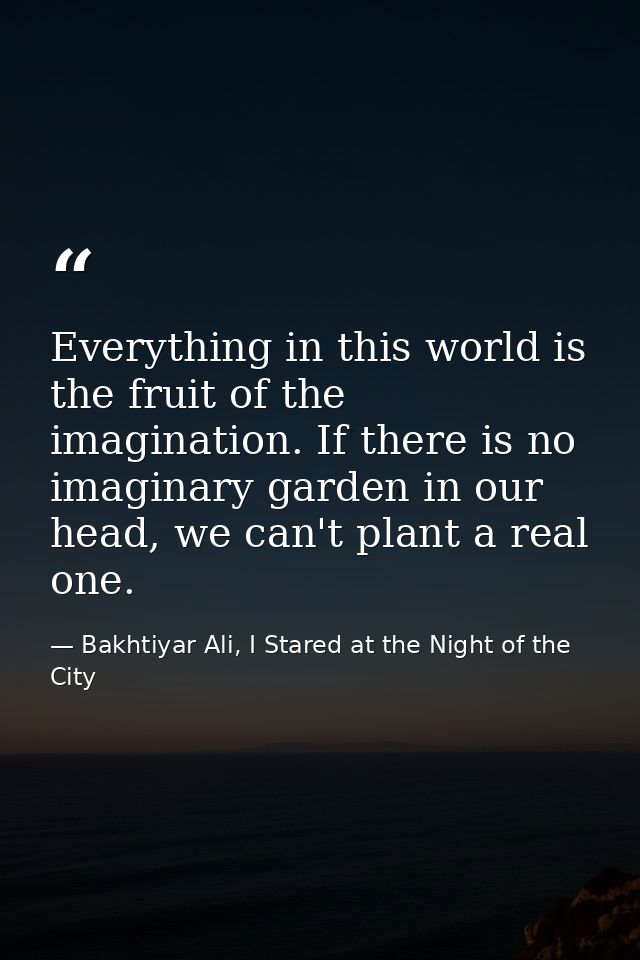 Everything in this world is the fruit of the imagination. If there is no imaginary garden in our head, we can't plant a  — Bakhtiyar Ali, I Stared at the Night of the City