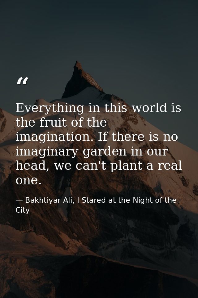 Everything in this world is the fruit of the imagination. If there is no imaginary garden in our head, we can't plant a  — Bakhtiyar Ali, I Stared at the Night of the City