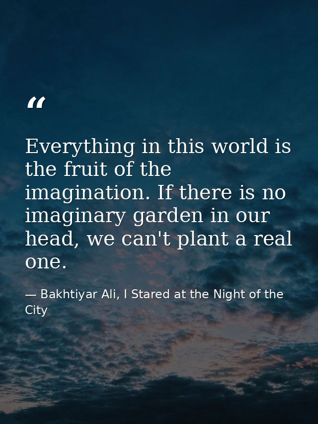 Everything in this world is the fruit of the imagination. If there is no imaginary garden in our head, we can't plant a  — Bakhtiyar Ali, I Stared at the Night of the City