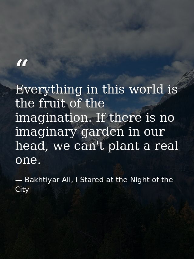 Everything in this world is the fruit of the imagination. If there is no imaginary garden in our head, we can't plant a  — Bakhtiyar Ali, I Stared at the Night of the City
