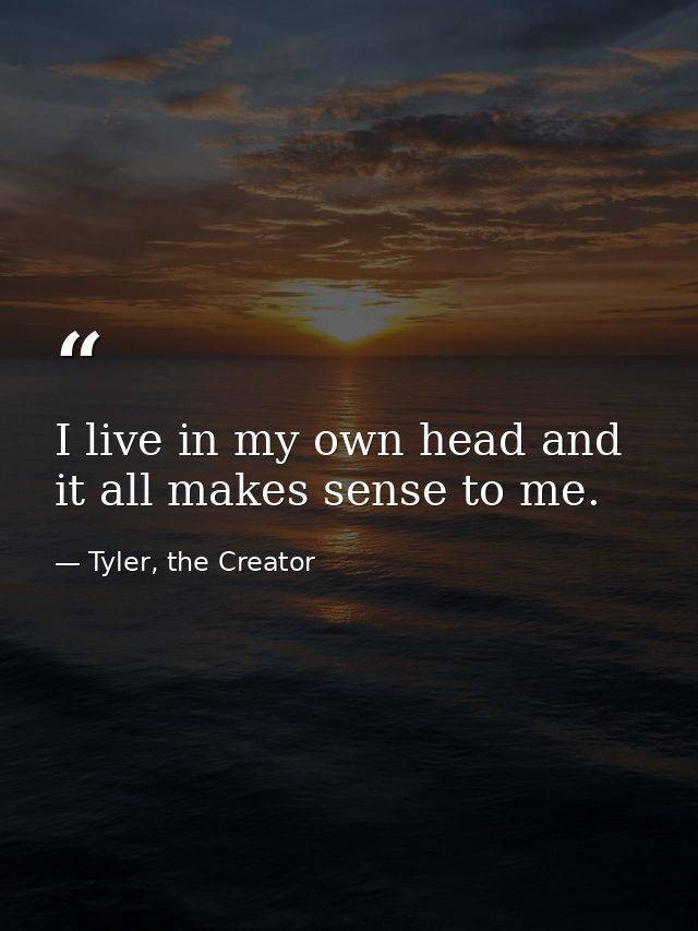 I live in my own head and it all makes sense to me. — Tyler, the Creator