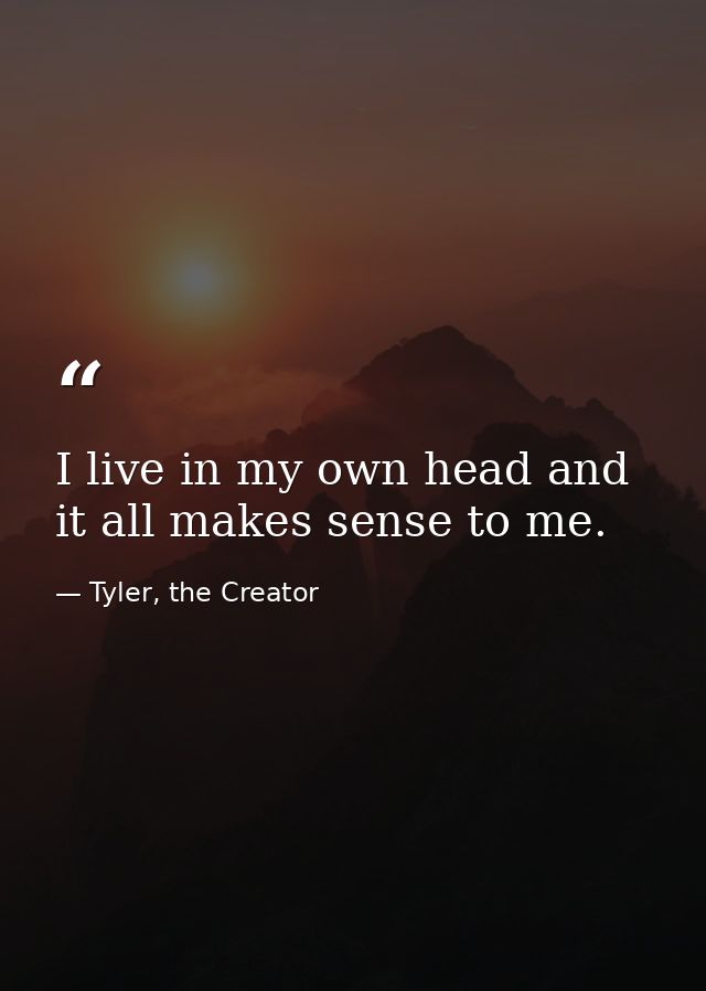 I live in my own head and it all makes sense to me. — Tyler, the Creator