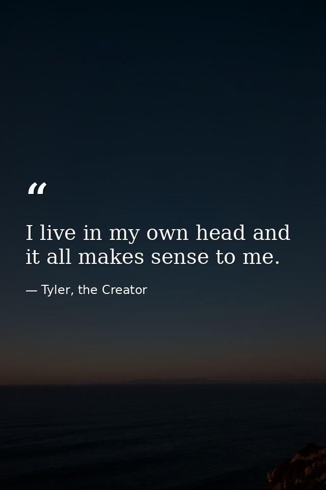 I live in my own head and it all makes sense to me. — Tyler, the Creator