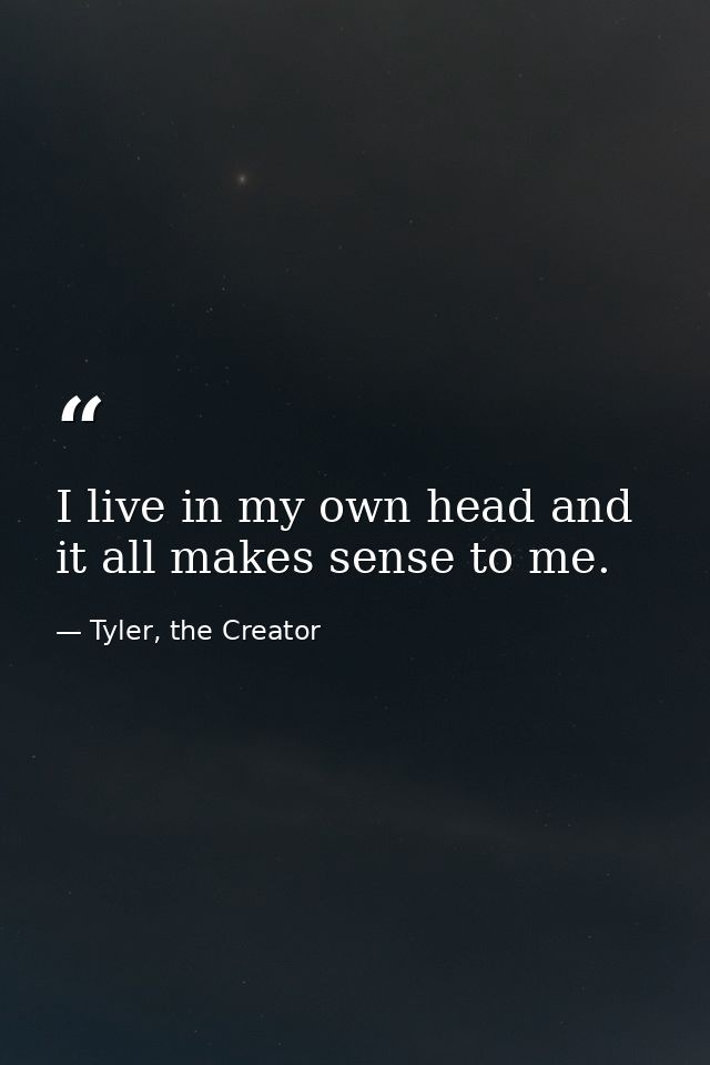 I live in my own head and it all makes sense to me. — Tyler, the Creator