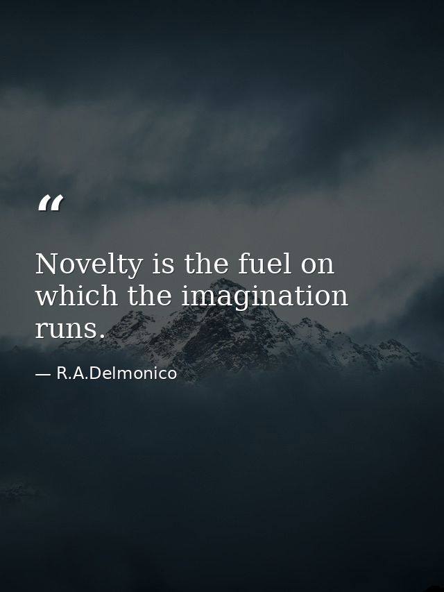 Novelty is the fuel on which the imagination runs. — R.A.Delmonico