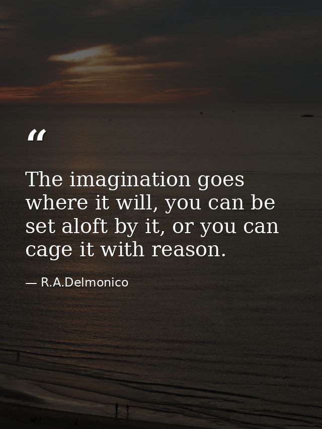 The imagination goes where it will, you can be set aloft by it, or you can cage it with reason. — R.A.Delmonico