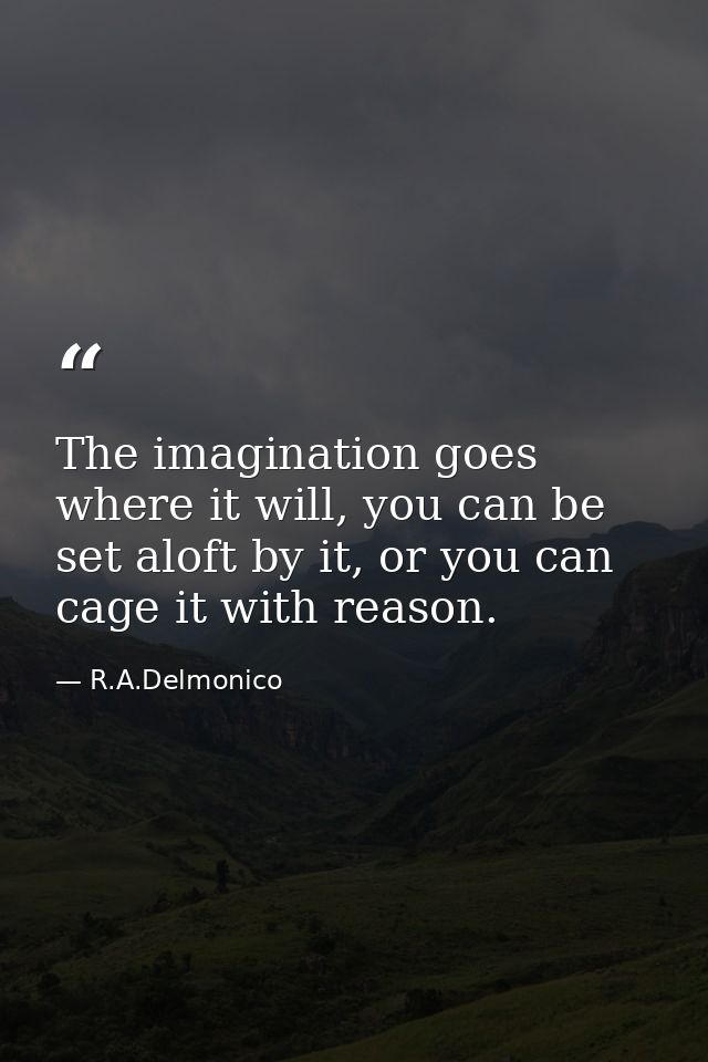 The imagination goes where it will, you can be set aloft by it, or you can cage it with reason. — R.A.Delmonico