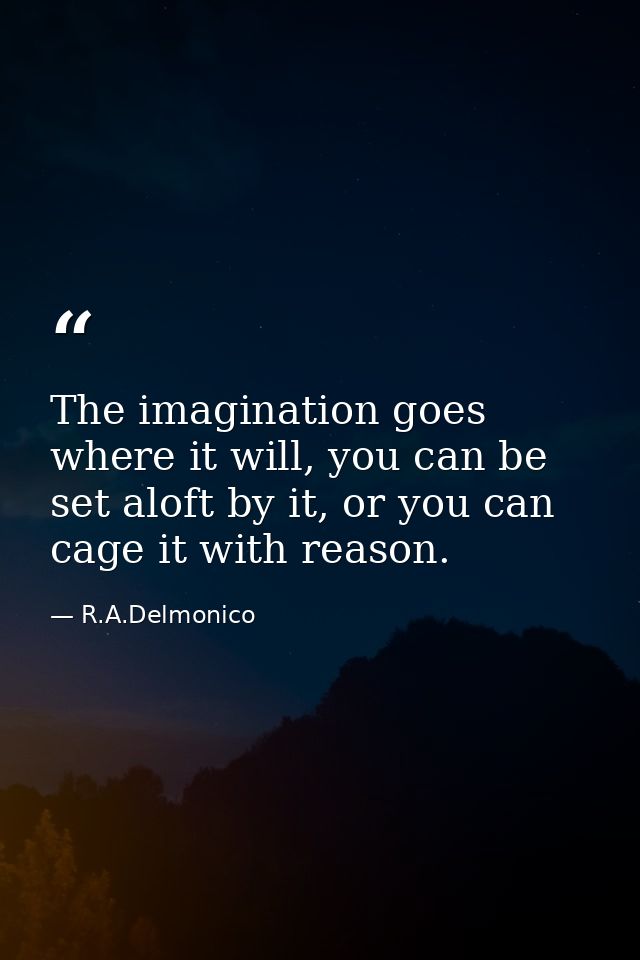 The imagination goes where it will, you can be set aloft by it, or you can cage it with reason. — R.A.Delmonico