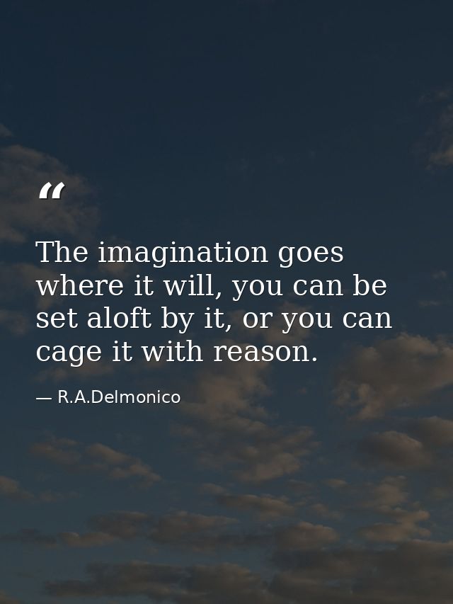 The imagination goes where it will, you can be set aloft by it, or you can cage it with reason. — R.A.Delmonico