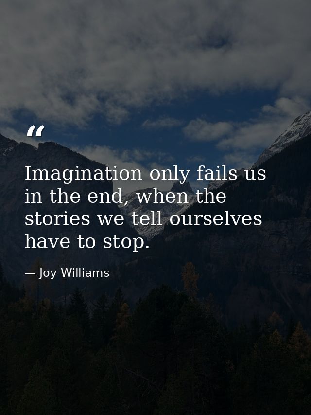 Imagination only fails us in the end, when the stories we tell ourselves have to stop. — Joy Williams