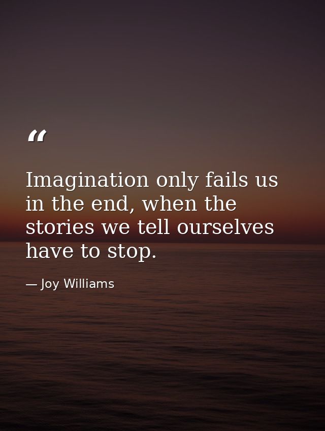 Imagination only fails us in the end, when the stories we tell ourselves have to stop. — Joy Williams