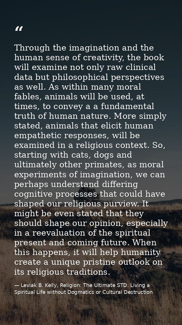 Through the imagination and the human sense of creativity, the book will examine not only raw clinical data but philosop — Leviak B. Kelly, Religion: The Ultimate STD: Living a Spiritual Life without Dogmatics or Cultural Destruction