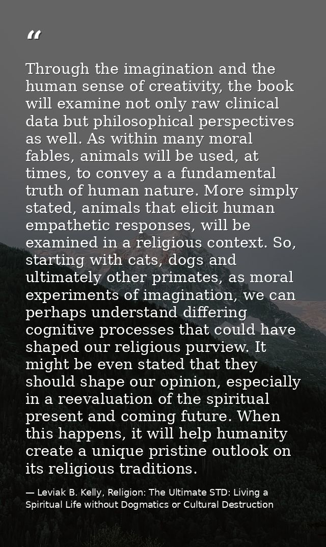 Through the imagination and the human sense of creativity, the book will examine not only raw clinical data but philosop — Leviak B. Kelly, Religion: The Ultimate STD: Living a Spiritual Life without Dogmatics or Cultural Destruction