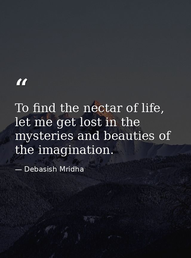 To find the nectar of life, let me get lost in the mysteries and beauties of the imagination. — Debasish Mridha