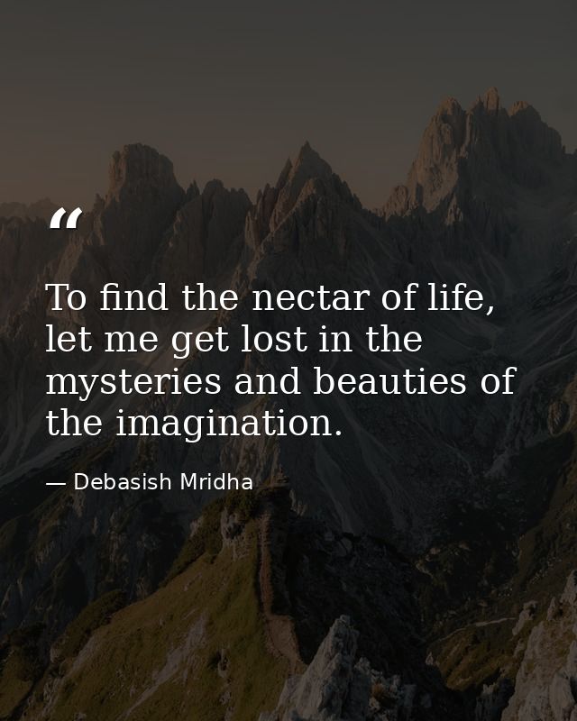 To find the nectar of life, let me get lost in the mysteries and beauties of the imagination. — Debasish Mridha