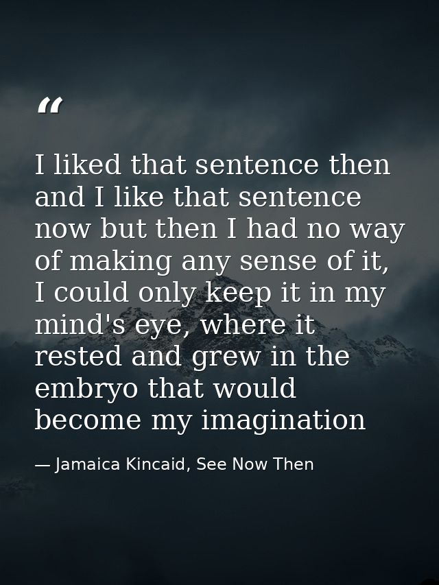 I liked that sentence then and I like that sentence now but then I had no way of making any sense of it, I could only ke — Jamaica Kincaid, See Now Then