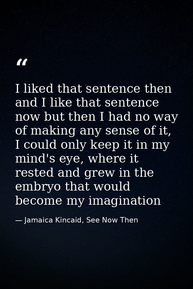 I liked that sentence then and I like that sentence now but then I had no way of making any sense of it, I could only ke — Jamaica Kincaid, See Now Then
