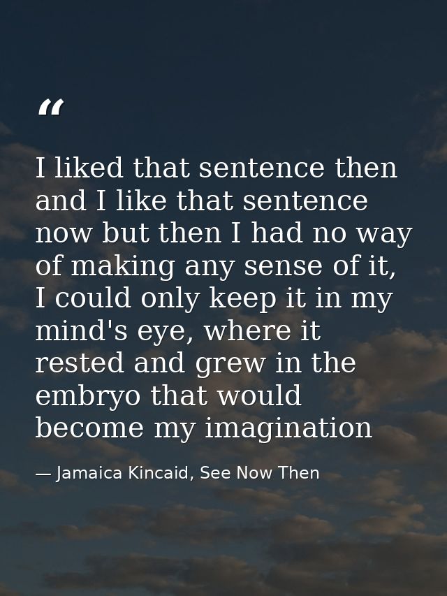 I liked that sentence then and I like that sentence now but then I had no way of making any sense of it, I could only ke — Jamaica Kincaid, See Now Then