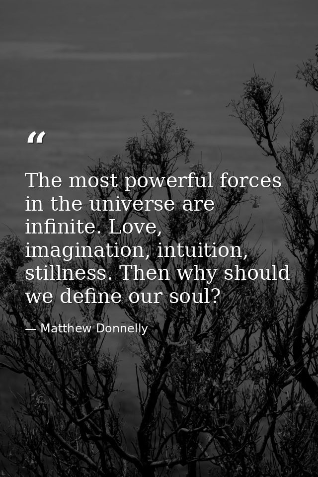 The most powerful forces in the universe are infinite. Love, imagination, intuition, stillness. Then why should we defin — Matthew Donnelly