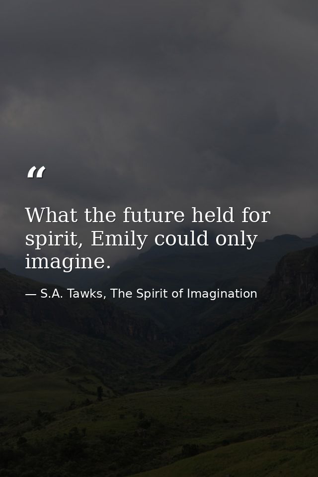 What the future held for spirit, Emily could only imagine. — S.A. Tawks, The Spirit of Imagination