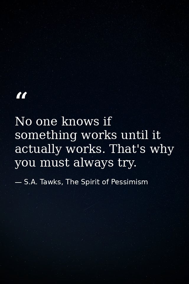 No one knows if something works until it actually works. That's why you must always try. — S.A. Tawks, The Spirit of Pessimism