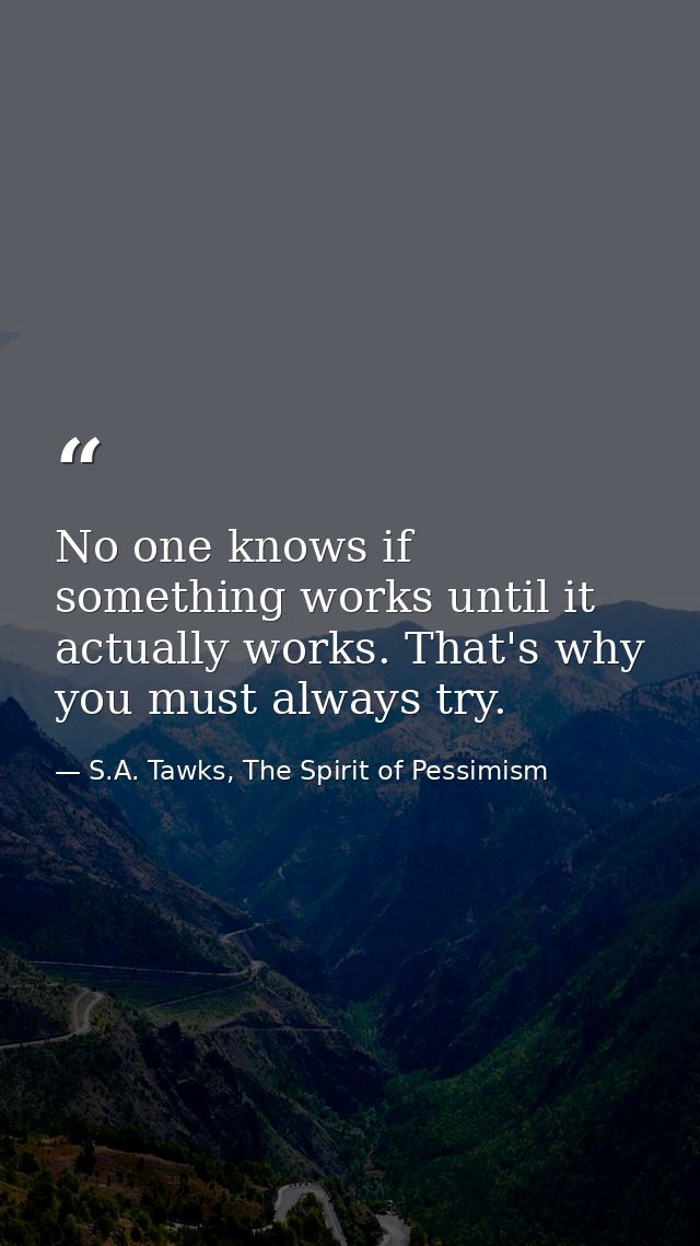 No one knows if something works until it actually works. That's why you must always try. — S.A. Tawks, The Spirit of Pessimism
