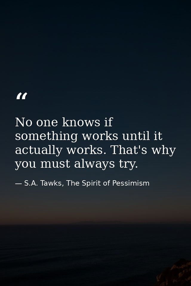 No one knows if something works until it actually works. That's why you must always try. — S.A. Tawks, The Spirit of Pessimism