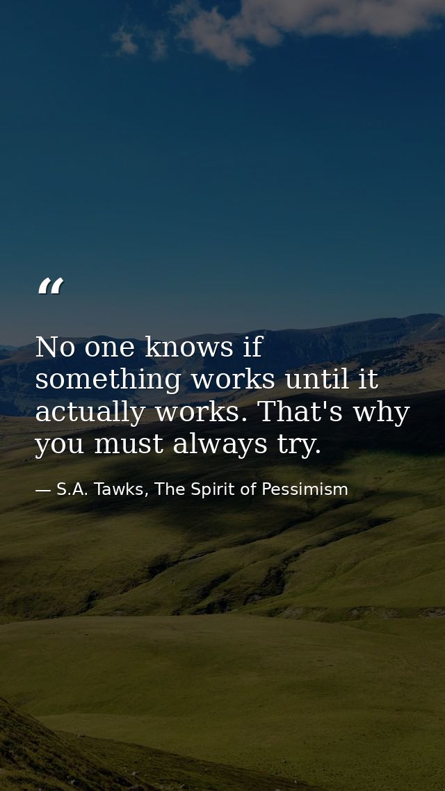 No one knows if something works until it actually works. That's why you must always try. — S.A. Tawks, The Spirit of Pessimism