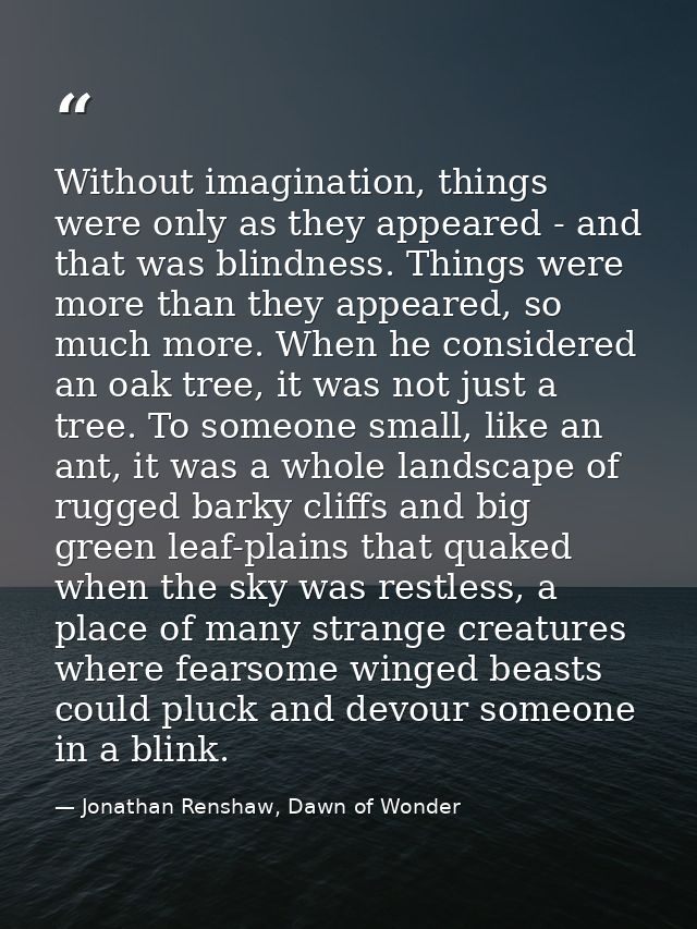 Without imagination, things were only as they appeared - and that was blindness. Things were more than they appeared, so — Jonathan Renshaw, Dawn of Wonder