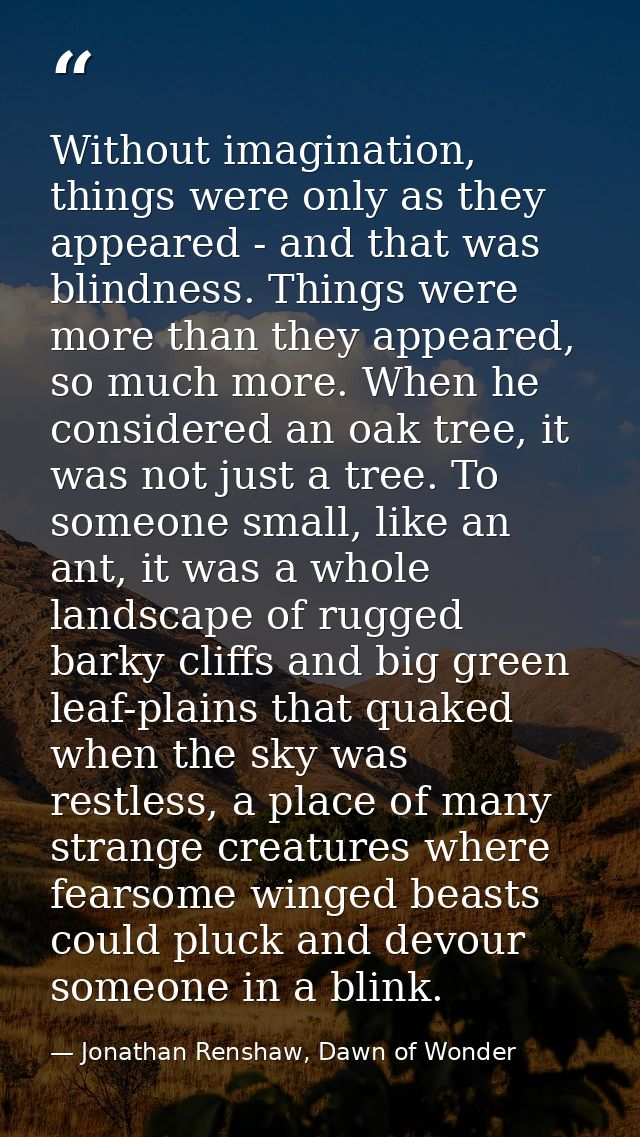 Without imagination, things were only as they appeared - and that was blindness. Things were more than they appeared, so — Jonathan Renshaw, Dawn of Wonder