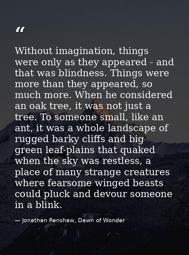 Without imagination, things were only as they appeared - and that was blindness. Things were more than they appeared, so — Jonathan Renshaw, Dawn of Wonder