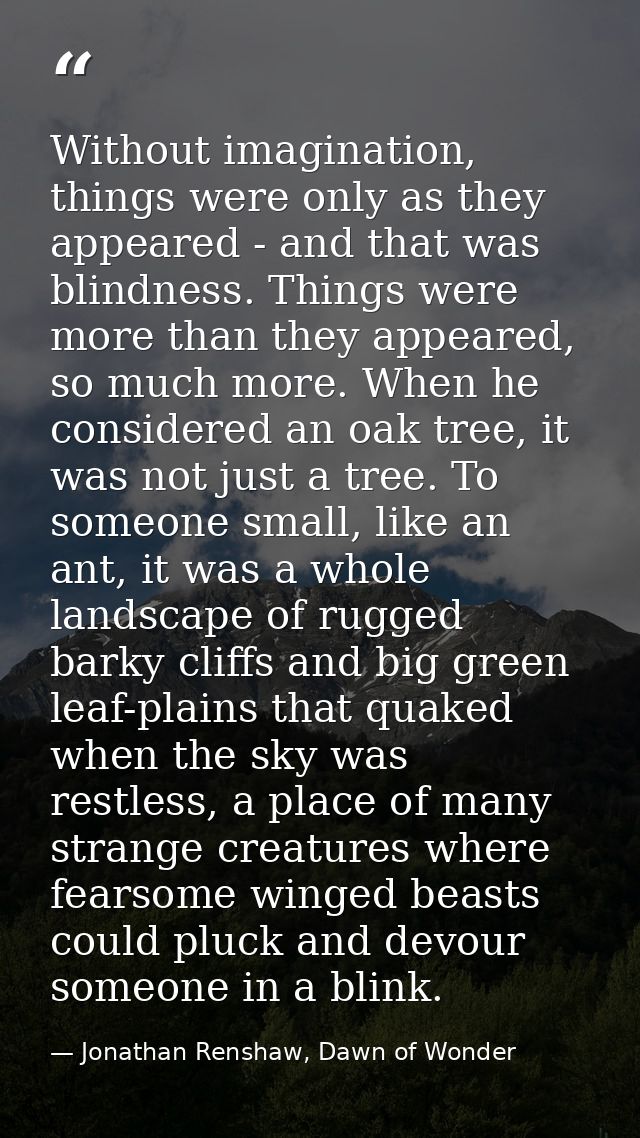 Without imagination, things were only as they appeared - and that was blindness. Things were more than they appeared, so — Jonathan Renshaw, Dawn of Wonder