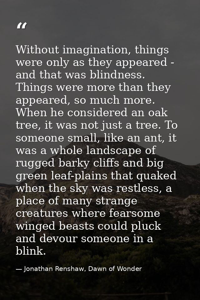 Without imagination, things were only as they appeared - and that was blindness. Things were more than they appeared, so — Jonathan Renshaw, Dawn of Wonder