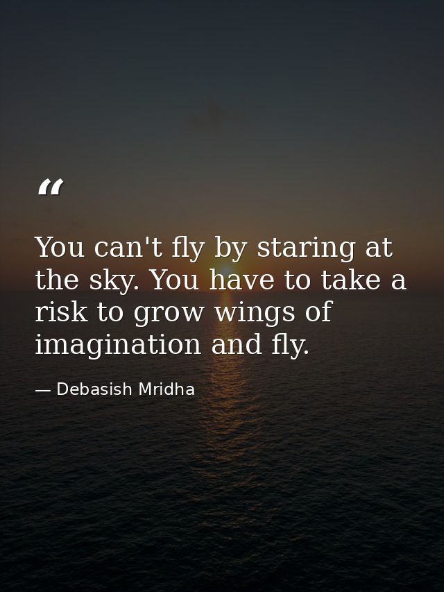 You can't fly by staring at the sky. You have to take a risk to grow wings of imagination and fly. — Debasish Mridha