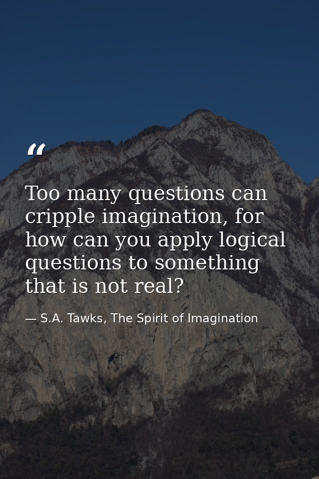 Too many questions can cripple imagination, for how can you apply logical questions to something that is not real? — S.A. Tawks, The Spirit of Imagination