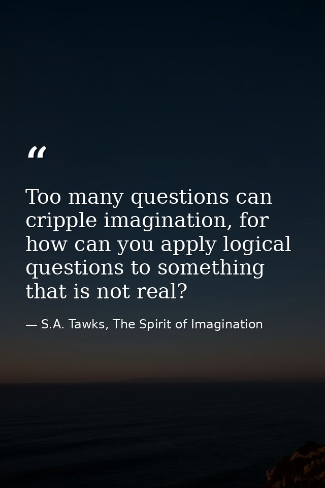 Too many questions can cripple imagination, for how can you apply logical questions to something that is not real? — S.A. Tawks, The Spirit of Imagination