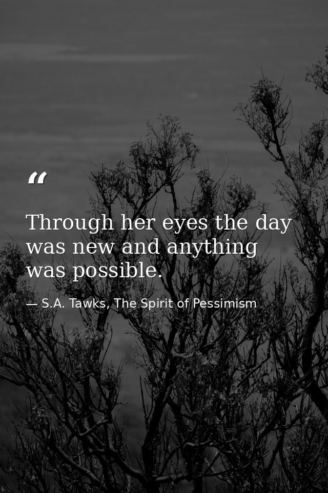 Through her eyes the day was new and anything was possible. — S.A. Tawks, The Spirit of Pessimism