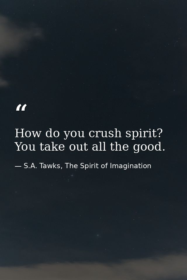 How do you crush spirit? You take out all the good. — S.A. Tawks, The Spirit of Imagination