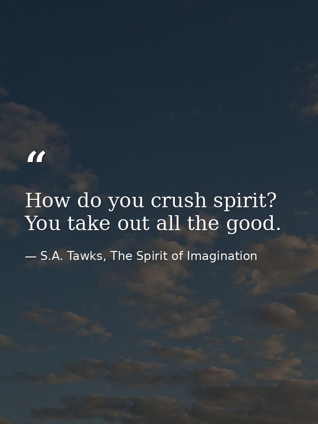 How do you crush spirit? You take out all the good. — S.A. Tawks, The Spirit of Imagination