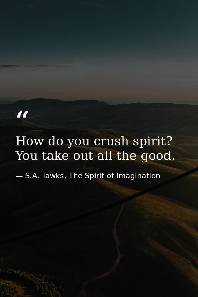 How do you crush spirit? You take out all the good. — S.A. Tawks, The Spirit of Imagination