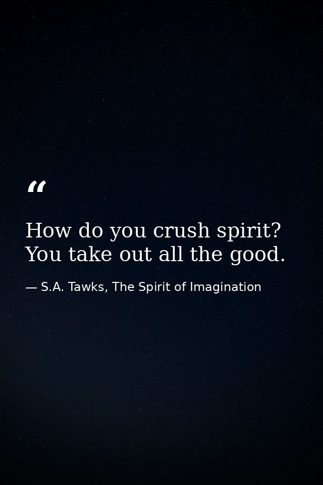 How do you crush spirit? You take out all the good. — S.A. Tawks, The Spirit of Imagination