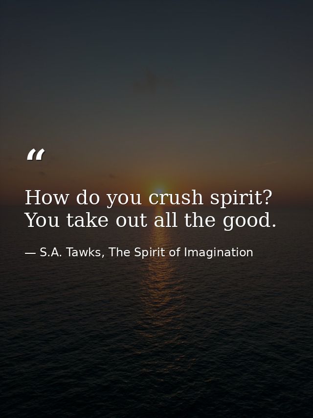 How do you crush spirit? You take out all the good. — S.A. Tawks, The Spirit of Imagination