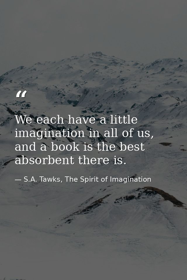 We each have a little imagination in all of us, and a book is the best absorbent there is. — S.A. Tawks, The Spirit of Imagination