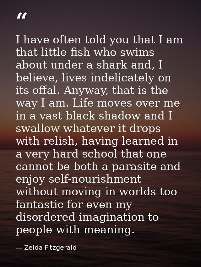 I have often told you that I am that little fish who swims about under a shark and, I believe, lives indelicately on its — Zelda Fitzgerald