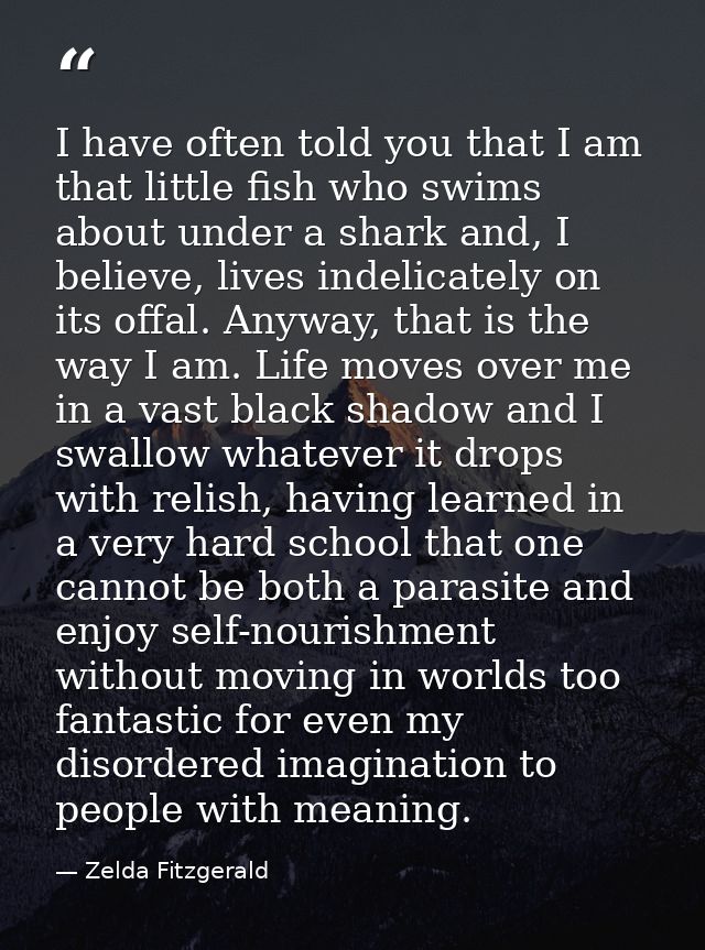 I have often told you that I am that little fish who swims about under a shark and, I believe, lives indelicately on its — Zelda Fitzgerald