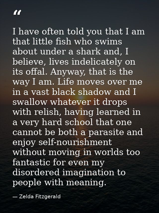 I have often told you that I am that little fish who swims about under a shark and, I believe, lives indelicately on its — Zelda Fitzgerald