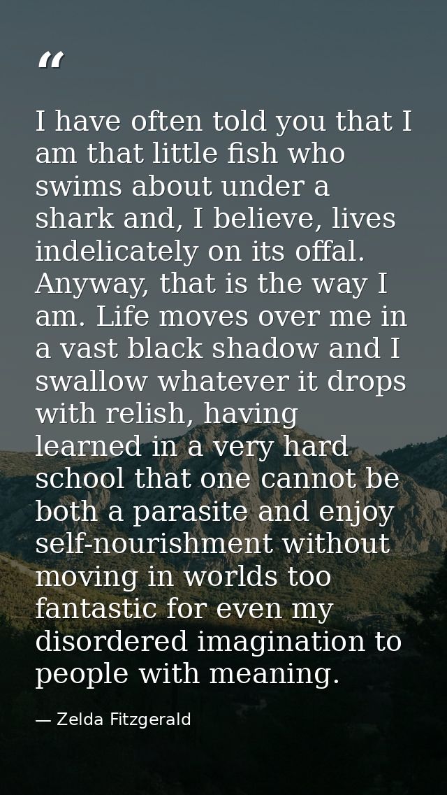 I have often told you that I am that little fish who swims about under a shark and, I believe, lives indelicately on its — Zelda Fitzgerald
