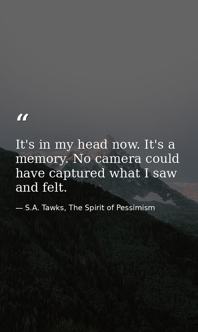 It's in my head now. It's a memory. No camera could have captured what I saw and felt. — S.A. Tawks, The Spirit of Pessimism