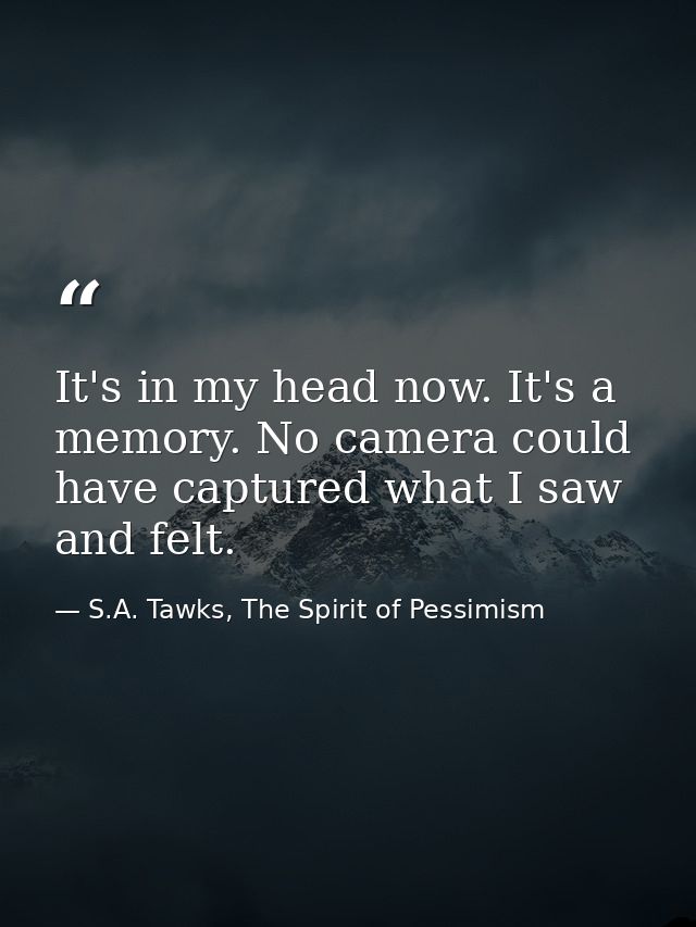 It's in my head now. It's a memory. No camera could have captured what I saw and felt. — S.A. Tawks, The Spirit of Pessimism